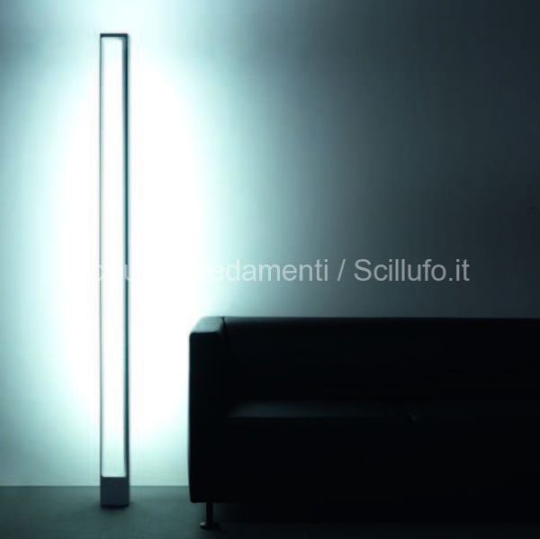 nemo - cassina