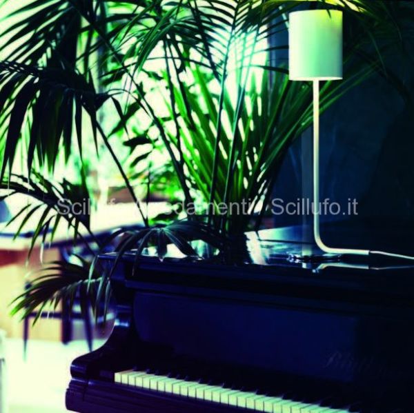 nemo - cassina